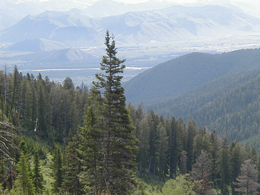 P7020106